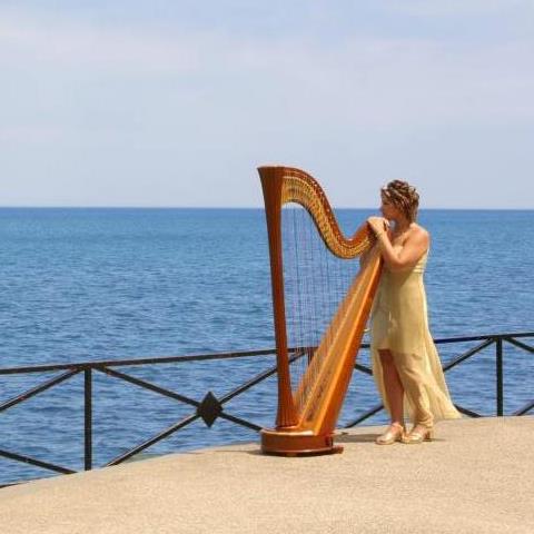 Divine Harp - Alyssa Michalsky