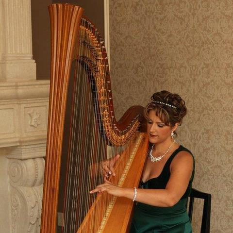 Divine Harp - Alyssa Michalsky