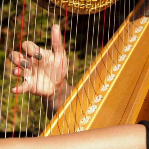 Divine Harp - Alyssa Michalsky