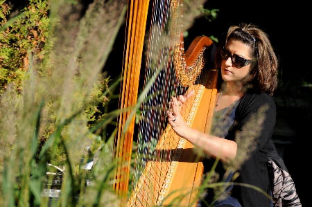 Divine Harp - Alyssa Michalsky